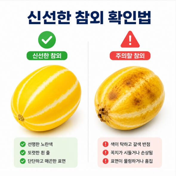 선명한 색과 단단한 표면으로 신선한 참외를 고르는 방법